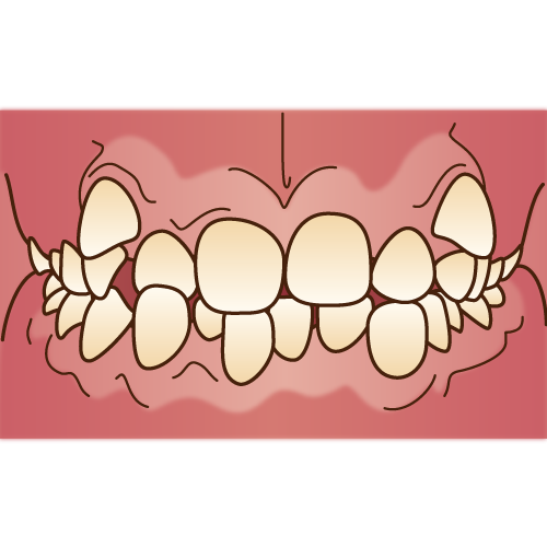 orthodontics033.png